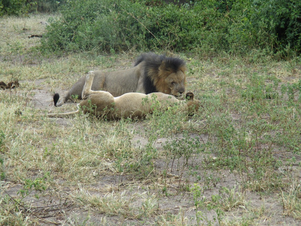 Love. No matter who you are it's real. 