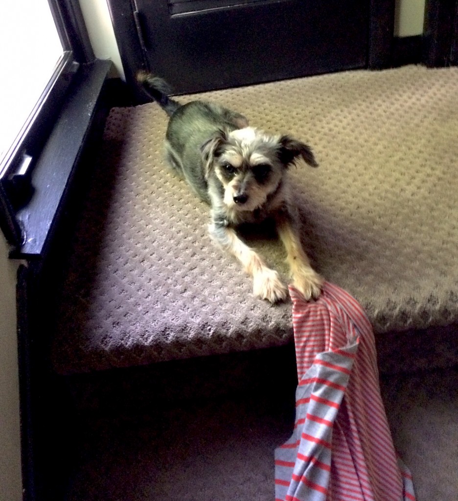 No mom, don't go to work today!