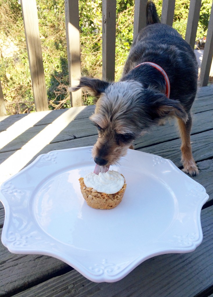 Like a typical kid, straight for the icing first. 