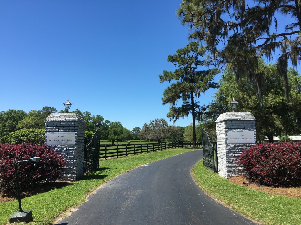 Tiny lanterns on huge marble piers because big lantern will continuously get stolen...lamp thieves exist!