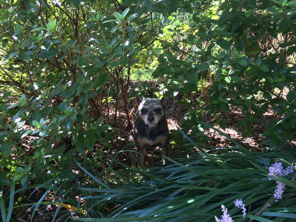 This is her happy face