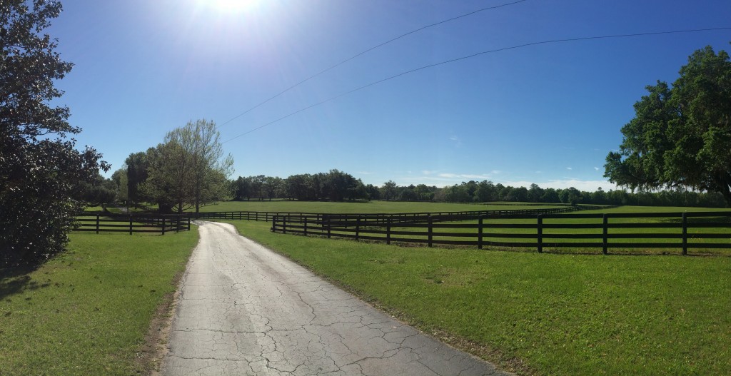 This is one of my favorite views from the farm...per usual the picture does no justice