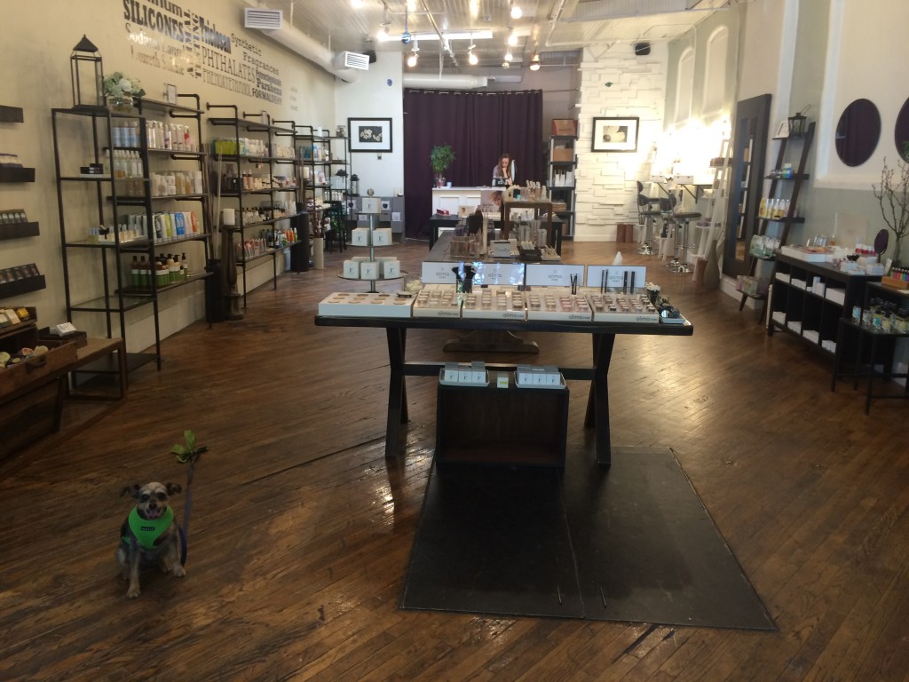 Pooka is the Fig & Flower official greeter