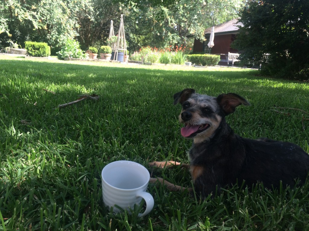 "I like to sip my tea with a garden view"
