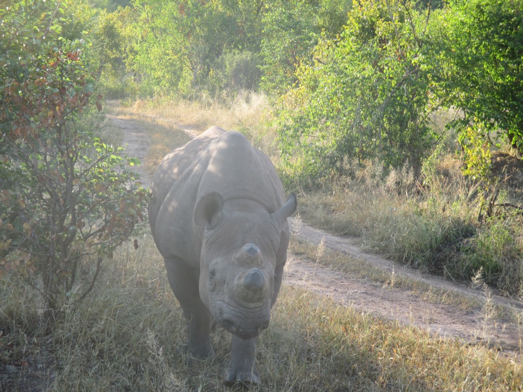 Got anything to eat?