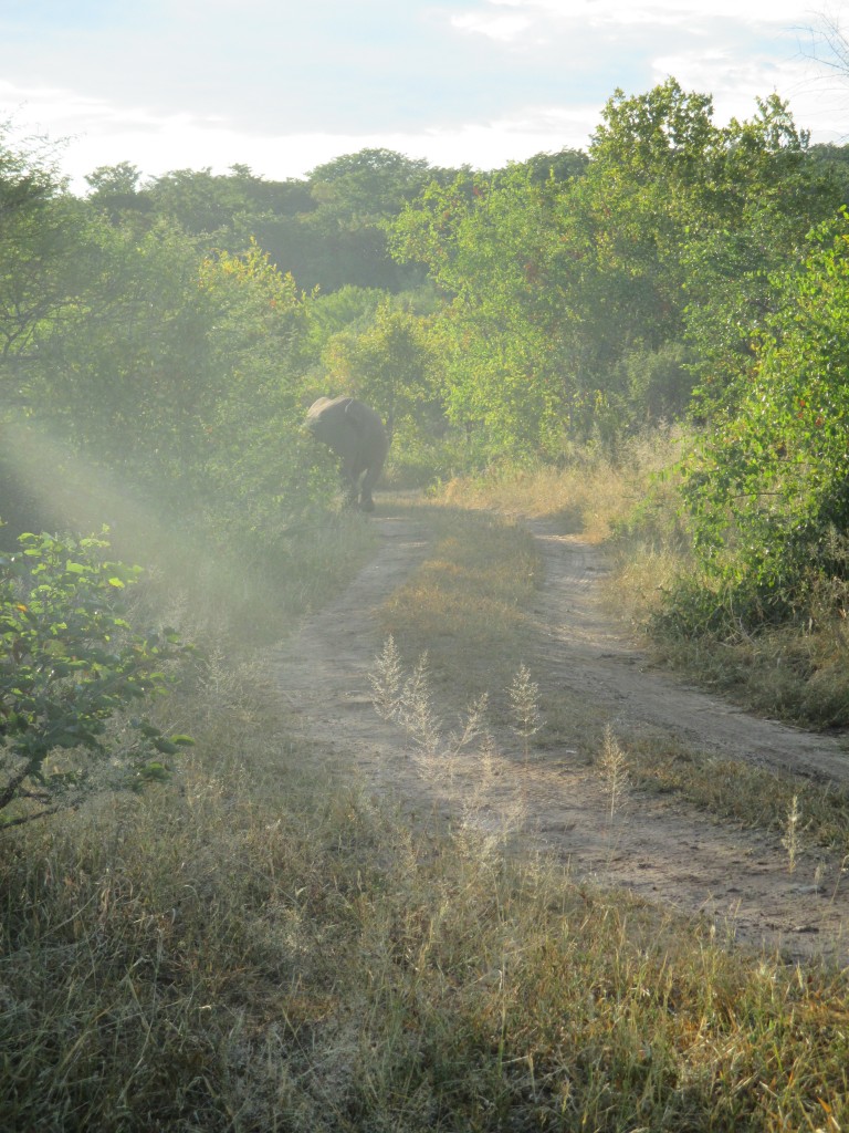 "Ya'll are boring. I'm outta here."