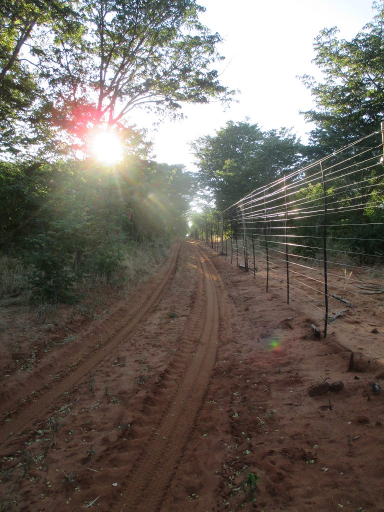 Early morning drives to work on the reserve were the best. Up with the sun every morning and loving it. 