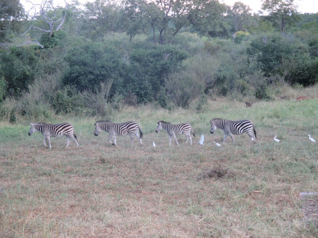 Perfect line(s) 🙂