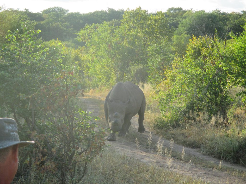...so he ran over to say hello!