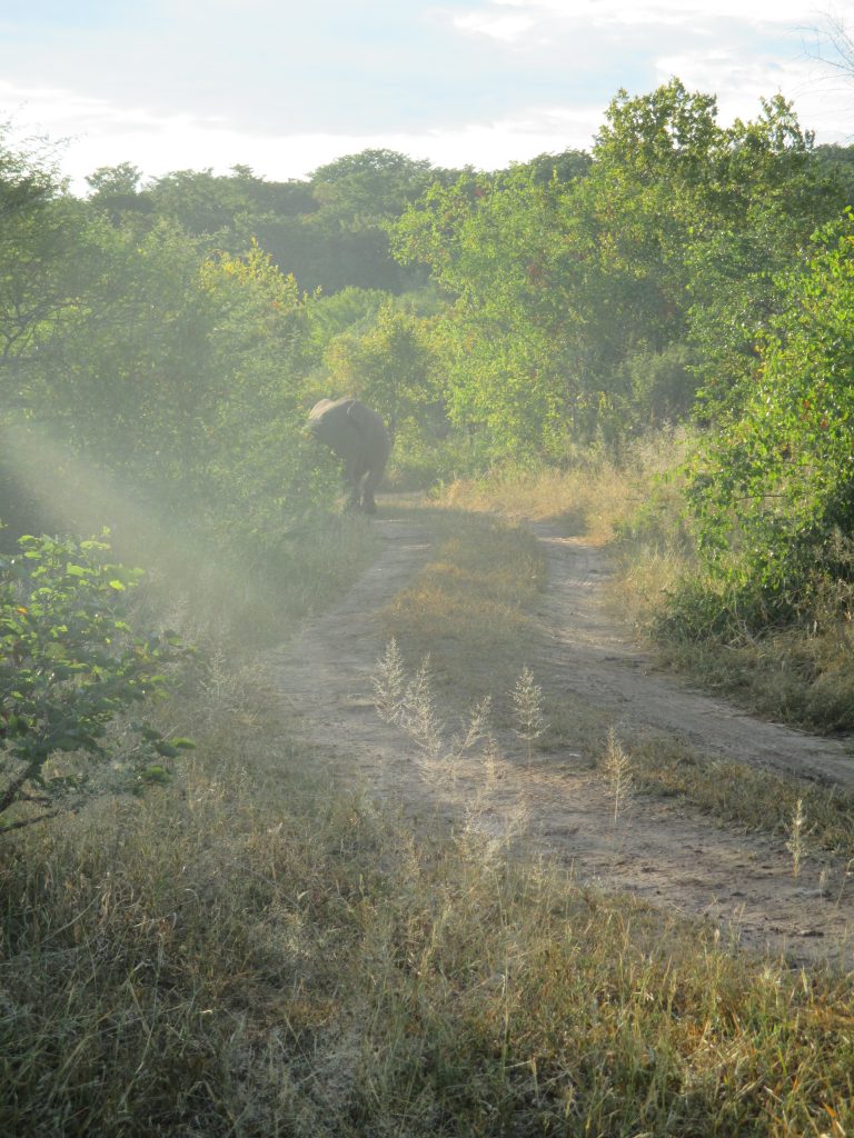 "Ya'll are boring. I'm outta here."