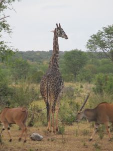 "Maybe if I can't see them, they can't see me"