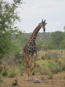 "Ugh, but I really want that salt... so finger licking good!"