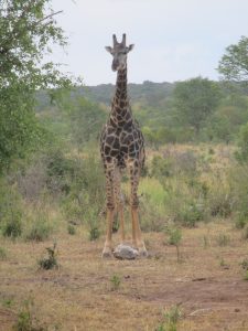 Just waiting for us to leave... 