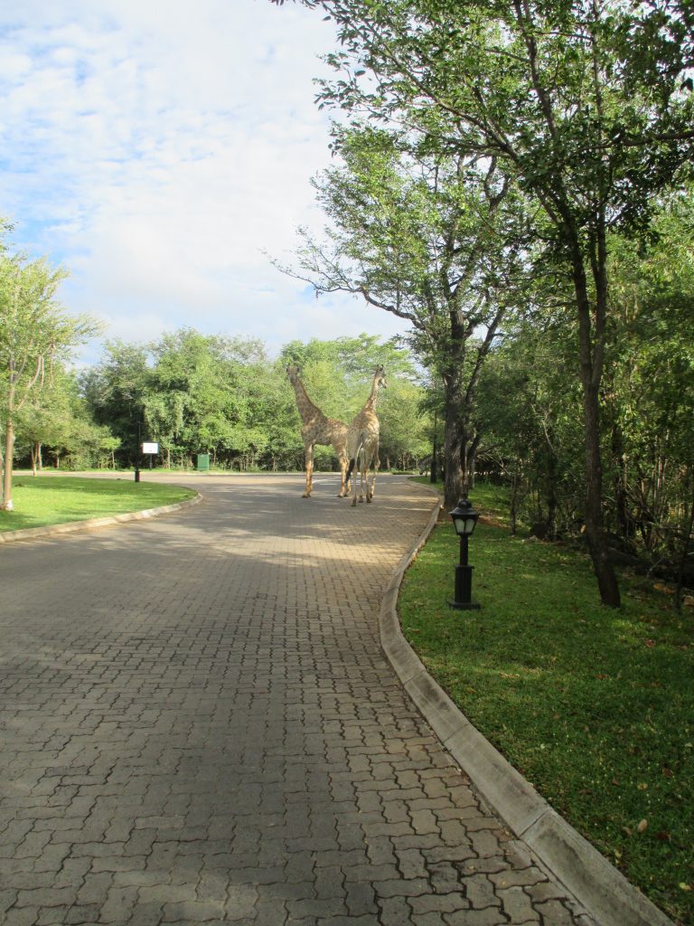 What are you doing here?