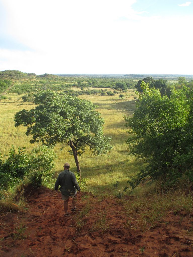 Dean at the Elephant Slide