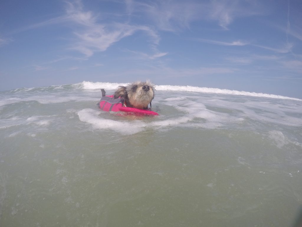 Getting good at this...