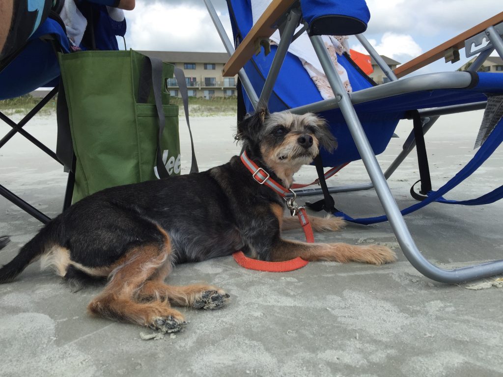 Relaxing after a good swim 